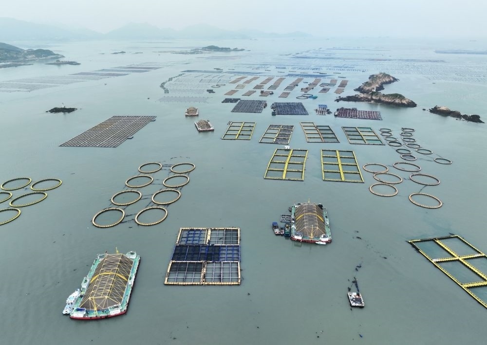 在福建連江定海灣海域，坐落著“定海灣1號(hào)”“定海灣2號(hào)”等深遠(yuǎn)海養(yǎng)殖平臺(tái)（2024年5月7日攝，無人機(jī)照片）。新華社記者 林善傳 攝