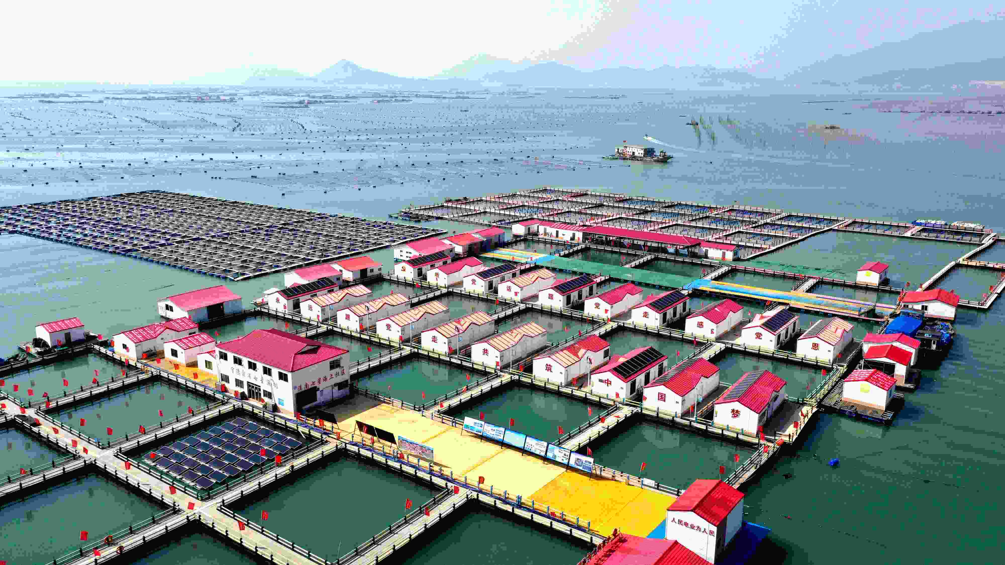 2024年3月20日，福建省寧德市，霞浦縣溪南鎮(zhèn)七星村漁排養(yǎng)殖示范區(qū)，漁民駕駛養(yǎng)殖船進(jìn)行海參養(yǎng)殖作業(yè)。