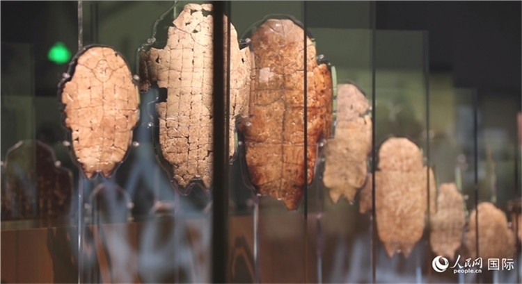 殷墟博物館新館的甲骨展品。人民網(wǎng)記者 劉寧攝