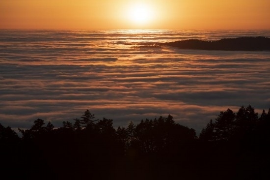 這是5月14日在美國加利福尼亞州馬林縣拍攝的云海。新華社發(fā)（李建國攝）