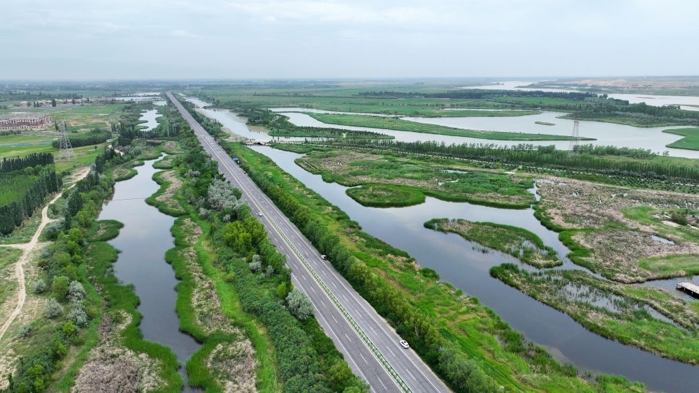 這是2024年6月13日拍攝的黃河寧夏段濱河大道（無人機(jī)照片）。近年來，寧夏努力建設(shè)黃河流域生態(tài)保護(hù)和高質(zhì)量發(fā)展先行區(qū)，全力打好黃河保護(hù)持久戰(zhàn)。新華社記者 王鵬 攝