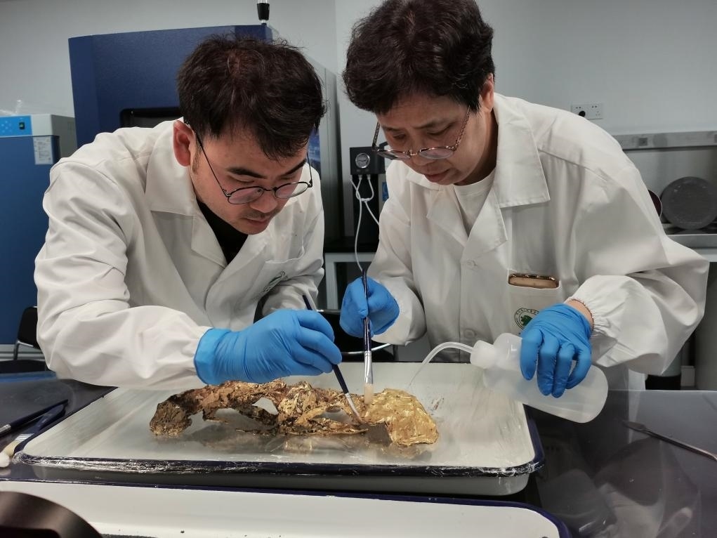 2023年7月，馬燕如（右）帶著魯海子（左）修復(fù)三星堆遺址出土的黃金面具。新華社發(fā)（四川省文物考古研究院供圖）