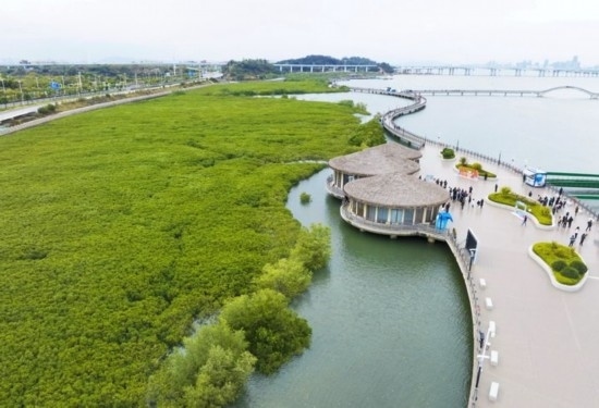 2024年1月23日拍攝的廈門市翔安區(qū)下潭尾紅樹林公園（無人機照片）。新華社記者 林善傳 攝