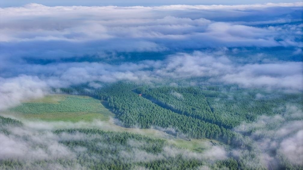 2024年7月26日拍攝的塞罕壩國家級(jí)自然保護(hù)區(qū)景色。新華社發(fā)（劉滿倉 攝）