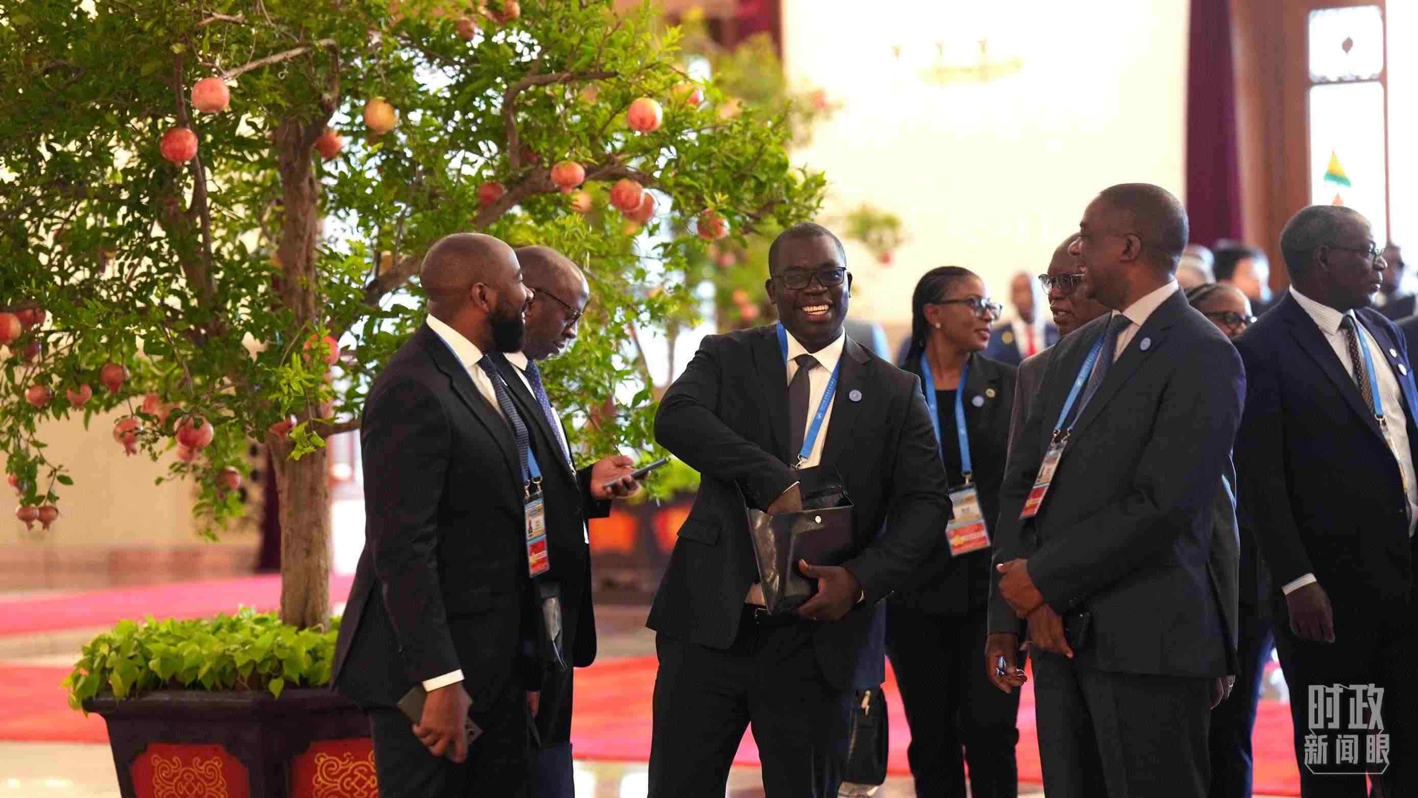 出席中非合作論壇北京峰會(huì)的非洲國(guó)家代表。（總臺(tái)記者李晉拍攝）