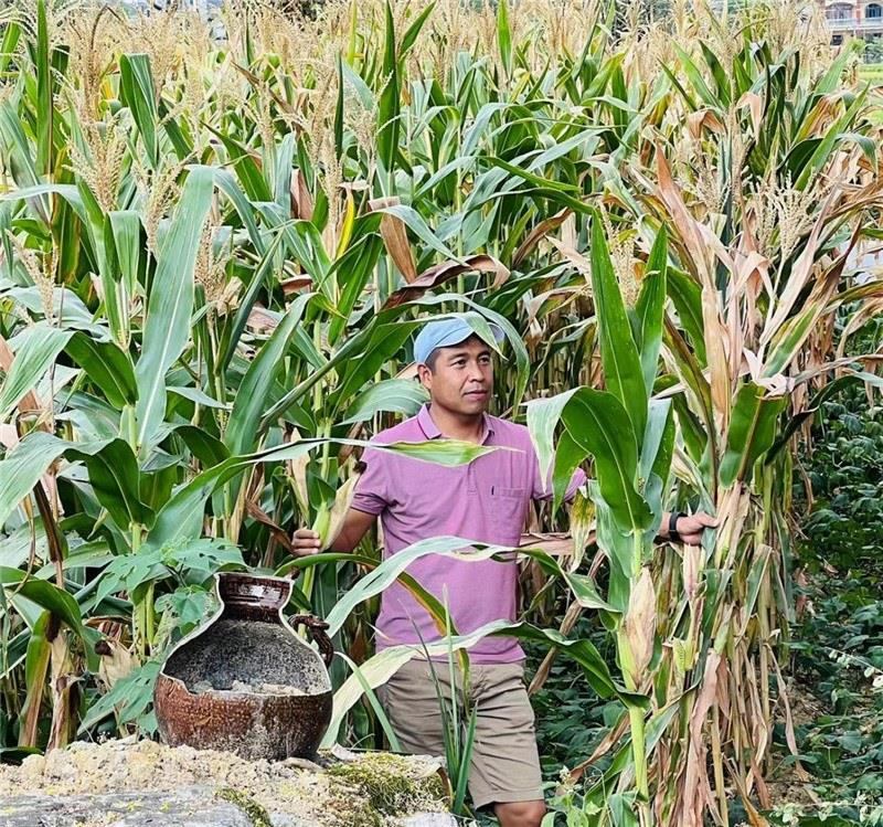 不是攀登石林高臺，就是鉆入玉米莊稼地，吉爾吉斯斯坦《自由之山報》總編輯納拉雷·阿桑巴耶夫“身手不凡”，與生長旺盛的玉米構成了花茂村的鄉(xiāng)間野趣。（張亞欣攝）