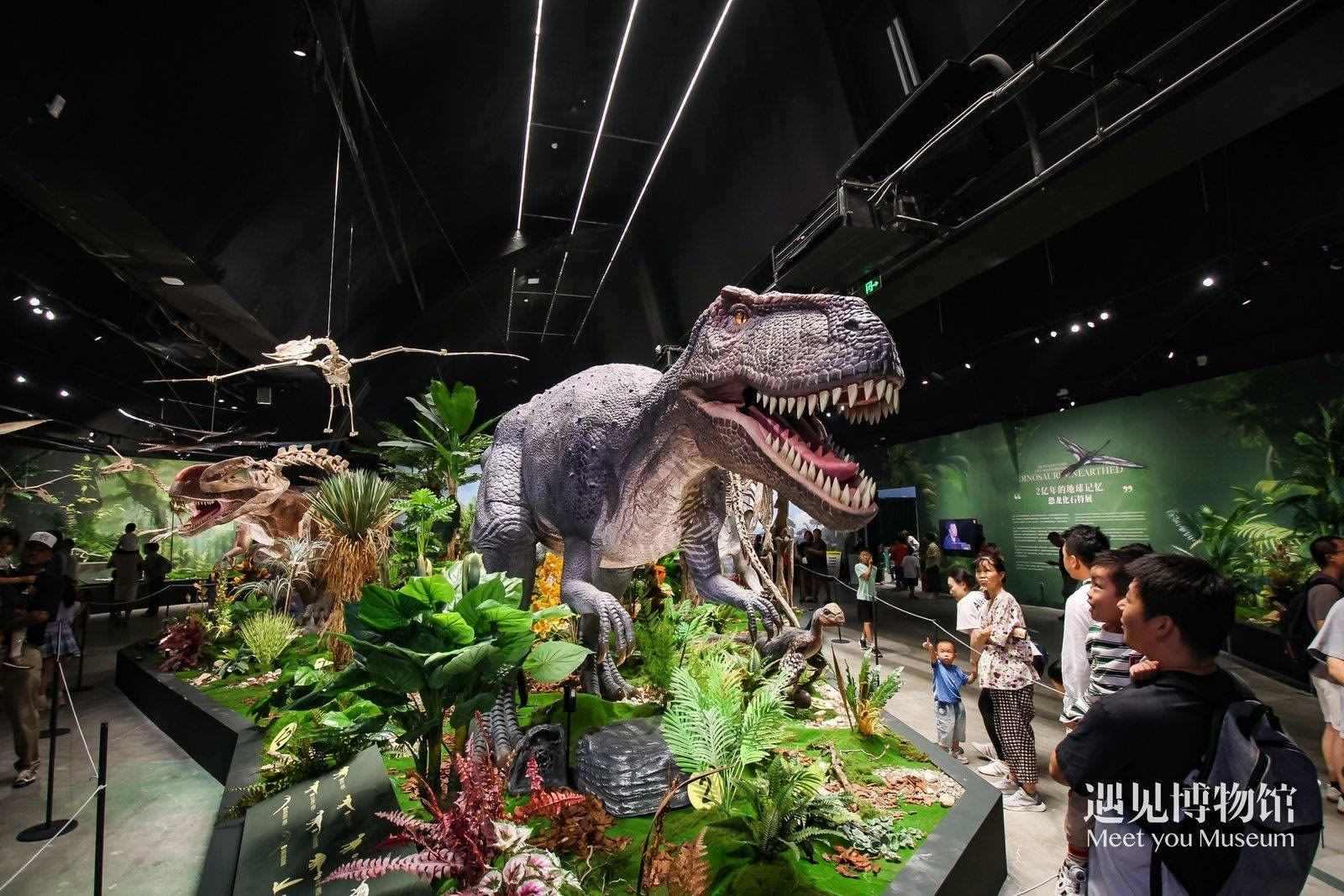 2. 游客參觀“2億年的地球記憶——恐龍化石特展”。遇見博物館供圖
