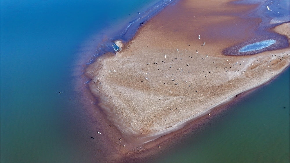 2024年3月1日拍攝的黃河寧夏段（無人機(jī)照片）。
