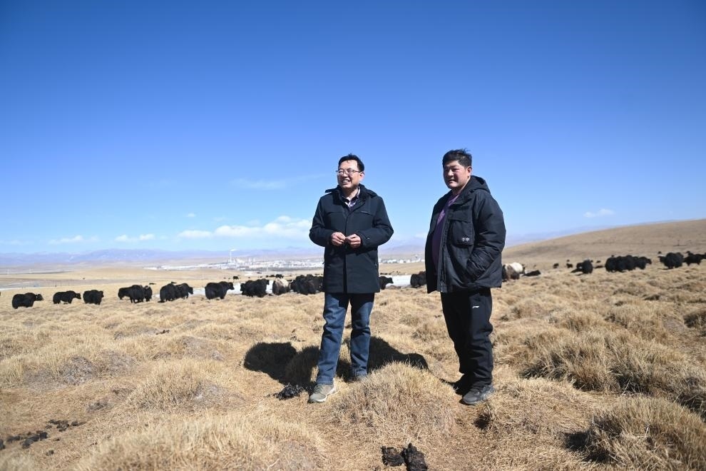 2023年2月24日，在青海省海北藏族自治州海晏縣青海湖鄉(xiāng)達玉日秀村，全國人大代表董全民（左）查看牧民東知布家的草場。新華社記者 張龍 攝