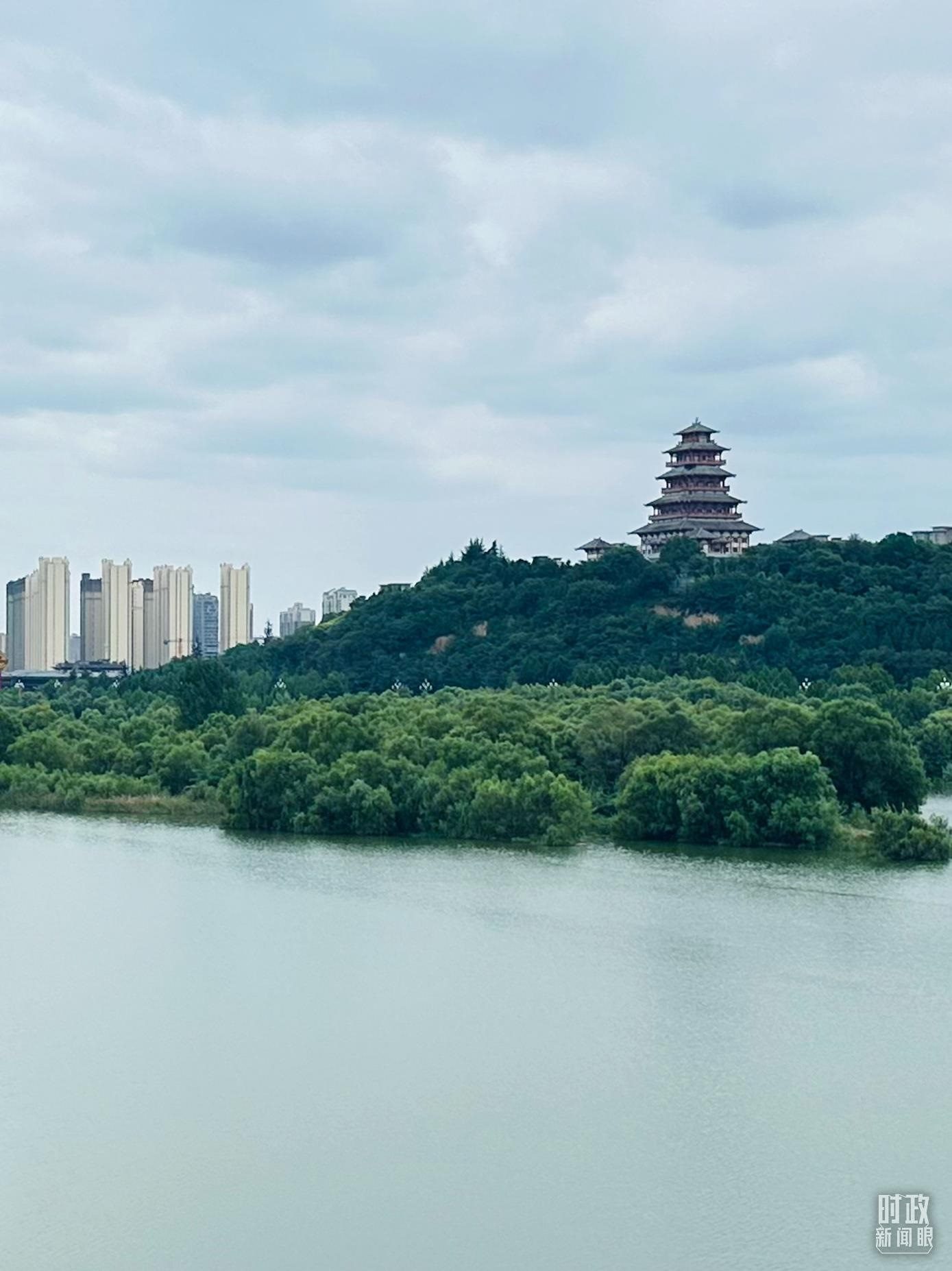 △渭河寶雞段長224公里，目前建成17處渭河灘區(qū)生態(tài)涵養(yǎng)區(qū)。（總臺央視記者范一鳴拍攝）