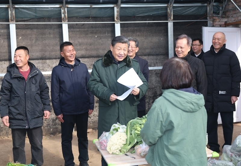 2024年2月1日，習(xí)近平總書記在天津市西青區(qū)辛口鎮(zhèn)第六埠村，走進(jìn)大棚同菜農(nóng)親切交流。