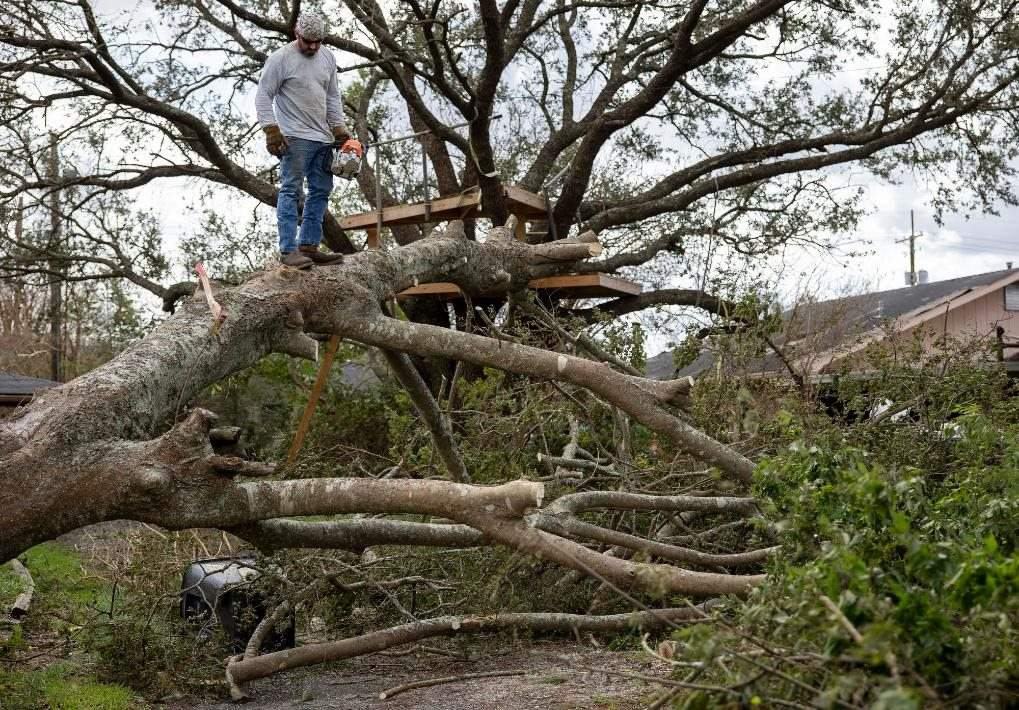 2021年8月30日，在美國(guó)路易斯安那州霍馬，一名男子站在被颶風(fēng)吹倒的大樹上。新華社發(fā)（尼克·瓦格納 攝）