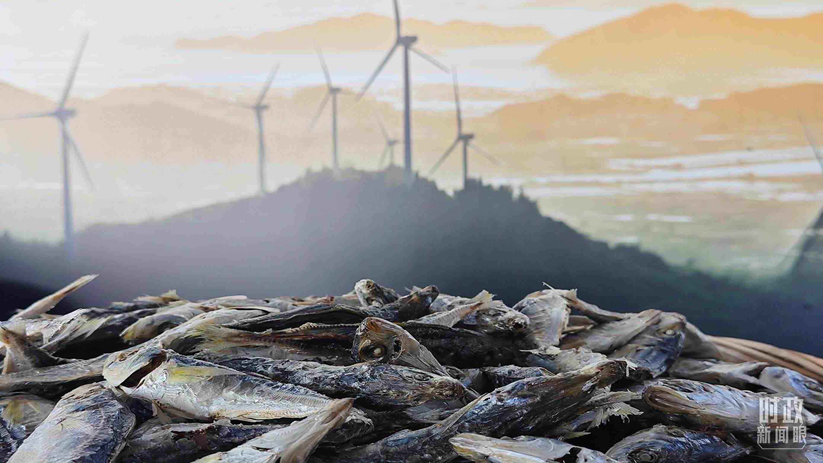 △澳角村的海產(chǎn)品。（總臺央視記者許永松拍攝）