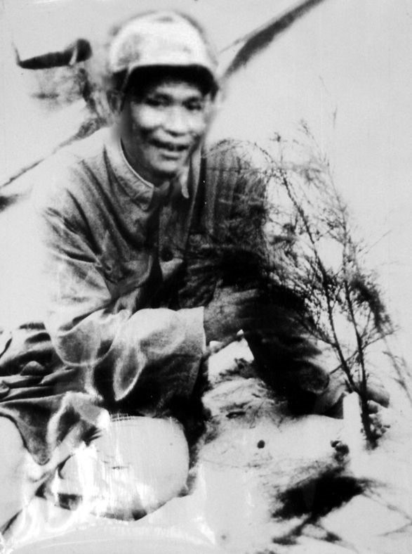 谷文昌與試種成活的木麻黃（資料照片）。為了治沙，谷文昌爬遍了東山縣400多個山頭，踏遍了30多公里的沙灘，終于帶領(lǐng)東山人民試種木麻黃成功。