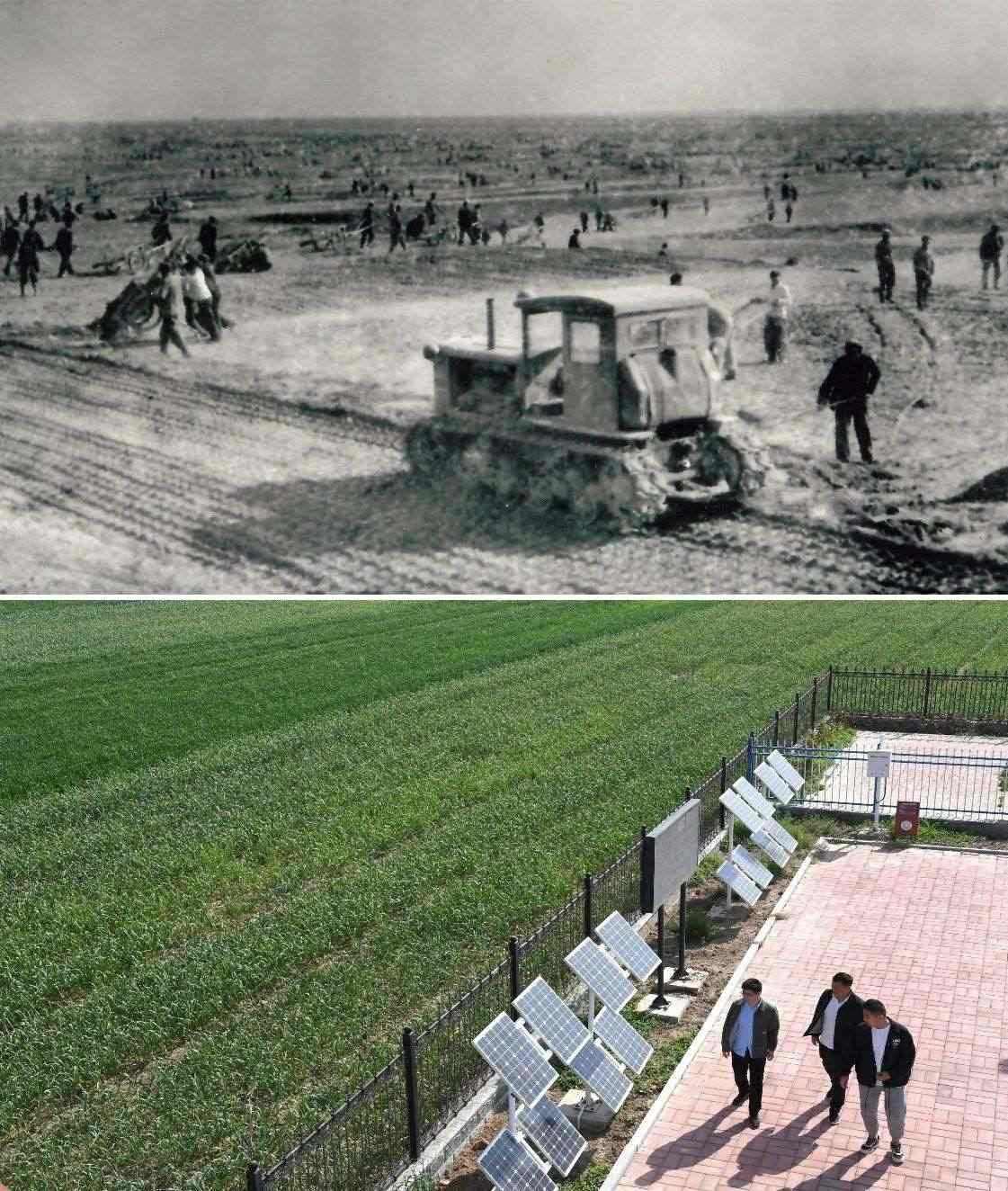 上圖為二十世紀(jì)六十年代蘭考改造鹽堿地的情景（資料照片）；下圖為2024年4月18日拍攝的蘭考縣紅廟鎮(zhèn)高標(biāo)準(zhǔn)農(nóng)田示范區(qū)。（新華社記者 朱祥 攝）