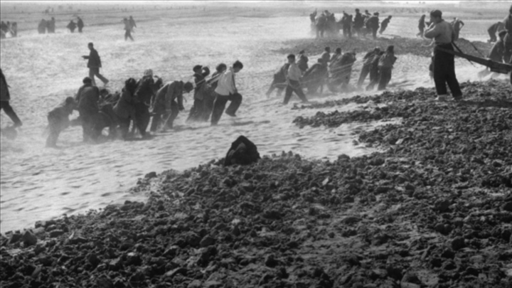 蘭考群眾在拉淤土壓沙。（新華社記者 鄧歷耕 攝）