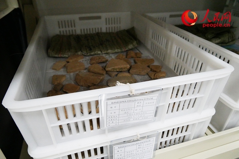 已經(jīng)整理完畢的文物標(biāo)本。人民網(wǎng)記者 韋衍行攝