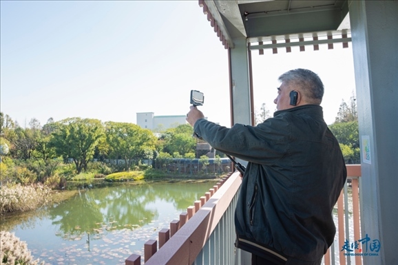 參觀白鷺園。環(huán)球網(wǎng)供圖