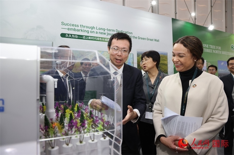 嘉賓參觀中國館。人民網(wǎng)記者任皓宇攝