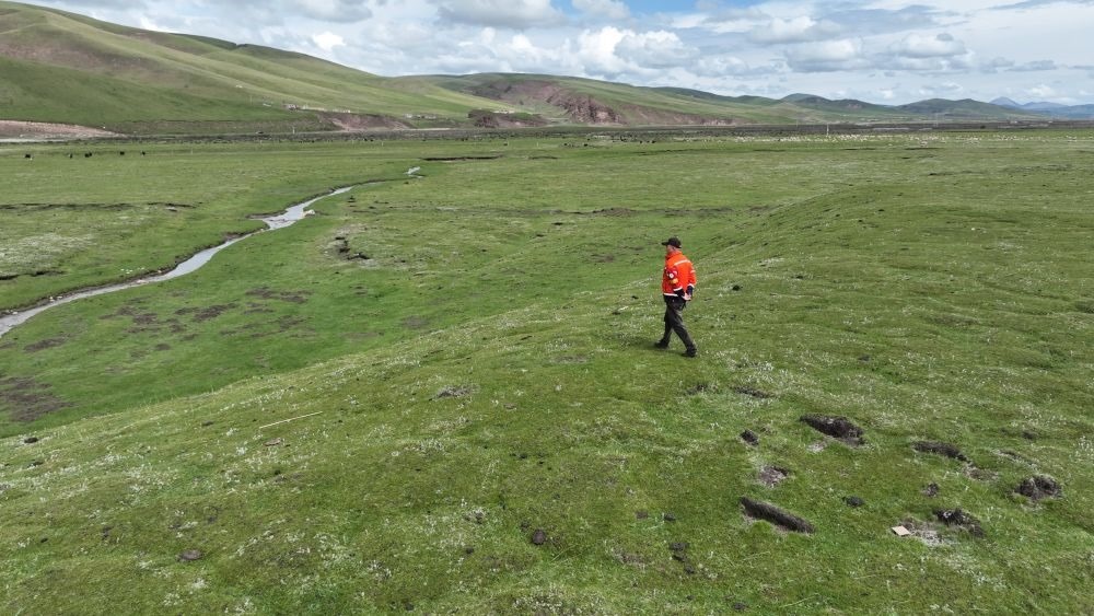 9月24日，生態(tài)管護(hù)員那瓦才郎在草場(chǎng)上巡護(hù)。（受訪者供圖）