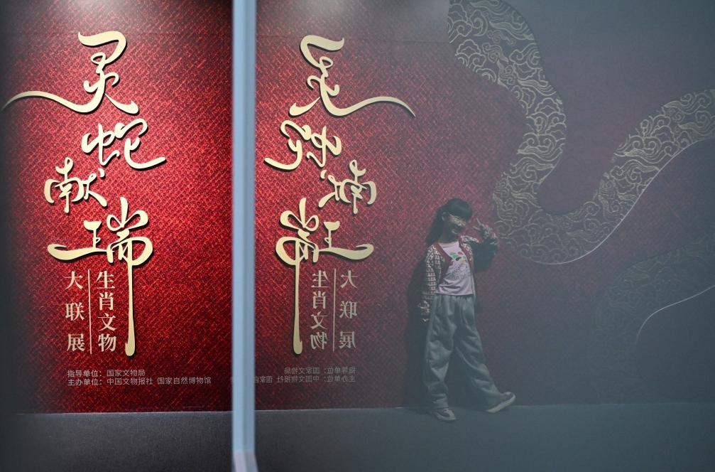 1月18日，一名小朋友在國家自然博物館舉辦的“靈蛇獻(xiàn)瑞——2025乙巳蛇年生肖文物大聯(lián)展”展覽中拍照留念。（新華社記者 陳鐘昊 攝）