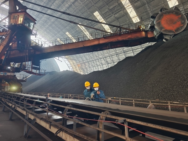 趙善國(guó)（右）和同事對(duì)電廠煤場(chǎng)進(jìn)行巡檢。受訪者供圖