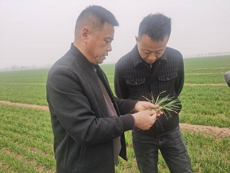 在山東濟(jì)寧汶上縣苑莊鎮(zhèn)，農(nóng)技員黃海龍對(duì)種糧大戶王振現(xiàn)場(chǎng)進(jìn)行春耕指導(dǎo)。人民網(wǎng)記者 車柯蒙攝