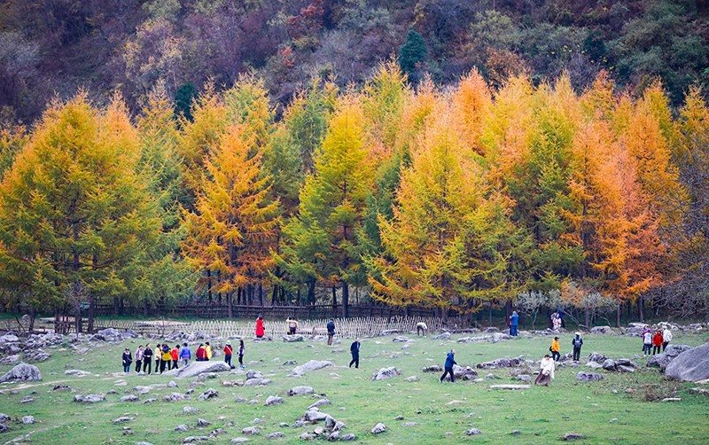 2023年10月27日，深秋時(shí)節(jié)的陜西秦嶺太子嶺五彩斑斕，進(jìn)入最佳觀賞期。