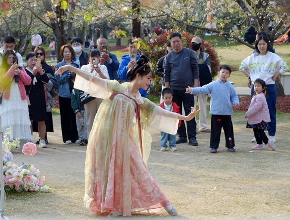 清明假期期間，上海顧村公園櫻花島上，游客在觀賞國風(fēng)漢服快閃表演。（圖片來源：視覺中國）