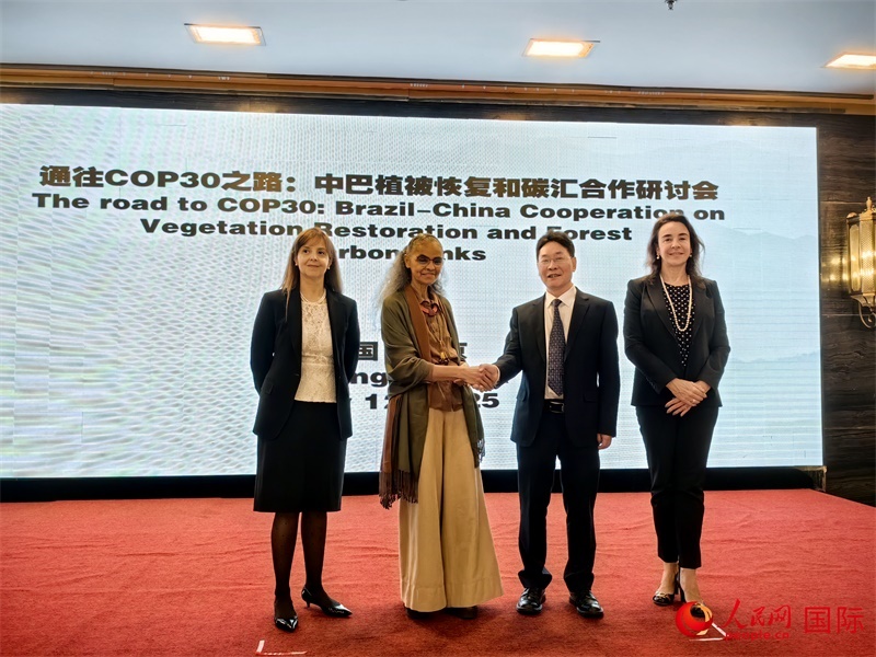 中國(guó)國(guó)家林業(yè)和草原局副局長(zhǎng)李云卿（右二）、巴西環(huán)境和氣候變化部部長(zhǎng)瑪麗娜·席爾瓦（左二）、巴西財(cái)政部副部長(zhǎng)羅熙丹（右一）、巴西駐華大使館公參樂美（左一）出席“通往COP30之路：中巴植樹造林和碳匯合作研討活動(dòng)”。人民網(wǎng)記者 符園園攝