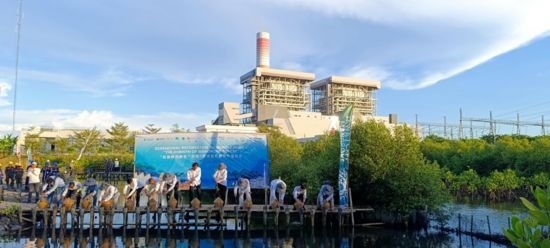 5月18日，中印尼嘉賓在爪哇7號燃煤電站舉行紅樹林補(bǔ)植儀式。記者 曹凱 攝